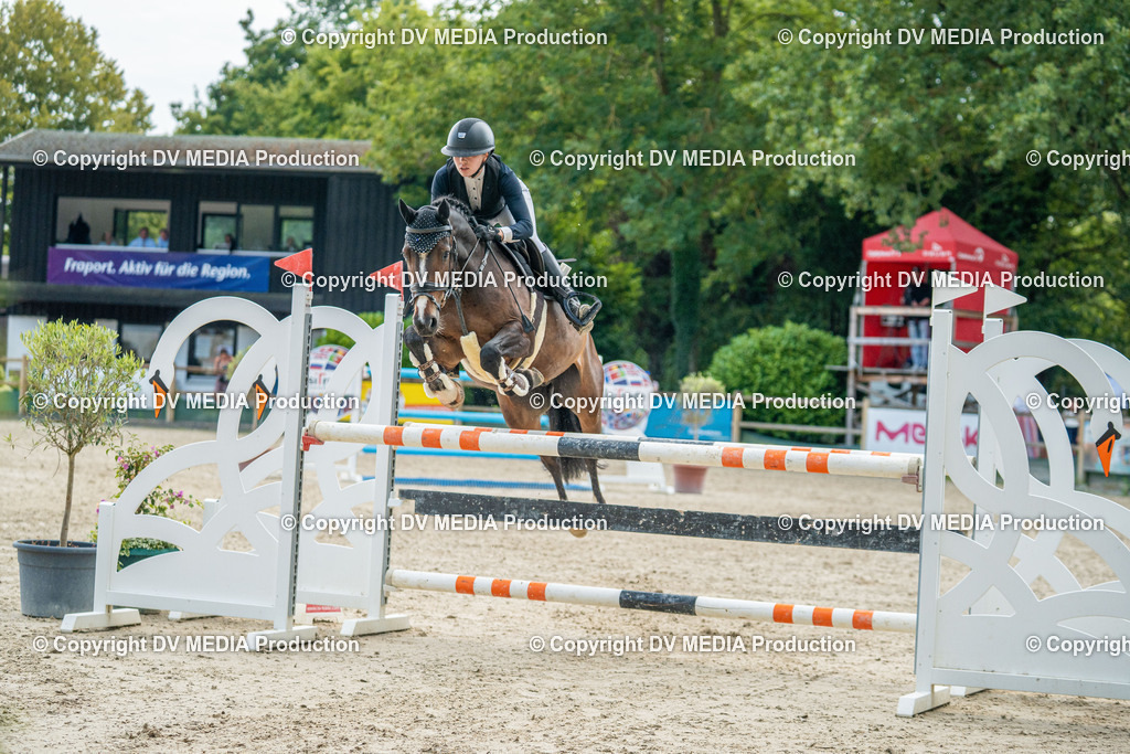 Hessische Tag 3-349 | dv-media-shop - Realisiert mit Pictrs.com