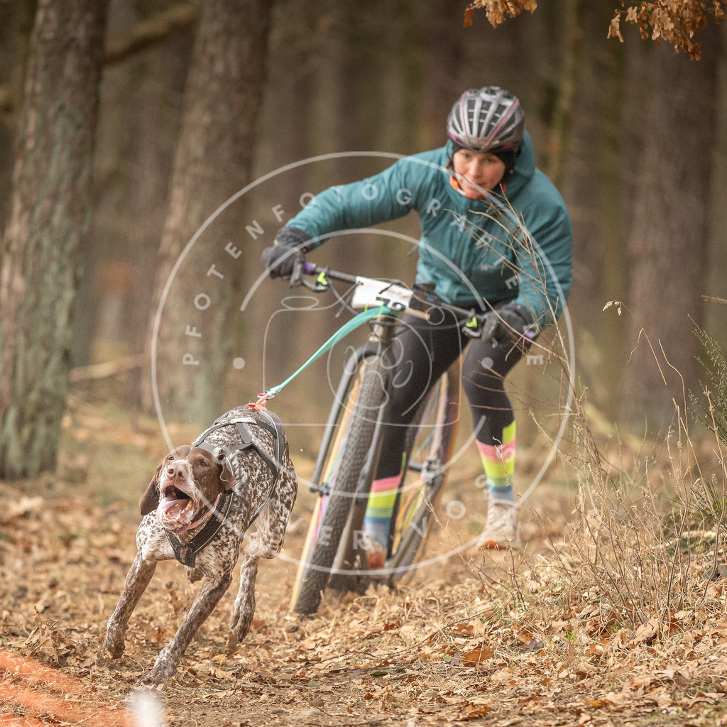Pfotenfotografie_DV3A3912 | Hundefotografie, Tierfotograf, Pfotenfotografie, Fotoshooting Hund, Hunde Portrait, Hundesport, Hundeportraits, Heideshooting, Hunde, Sportfotograf, Hundefotograf, Turnierhundsport, THS,  - Realisiert mit Pictrs.com