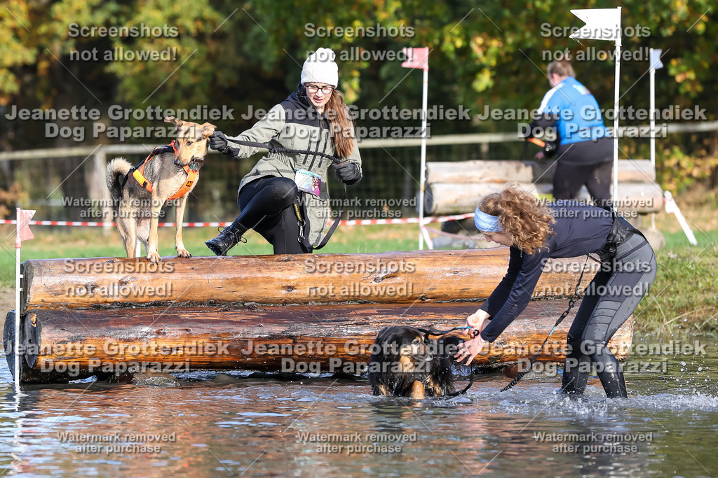 Dog Paparazzi - Strongdog 10-25-8415 | Dog Paparazzi Jeanette Grottendiek Fotografie & Videografie - Realisiert mit Pictrs.com