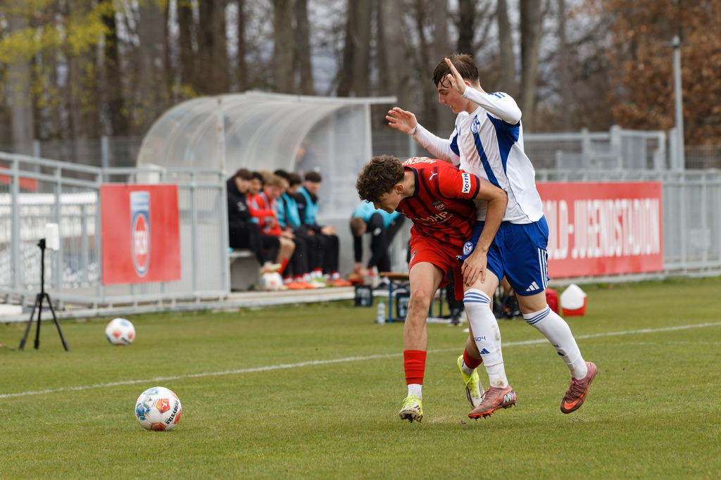 20260412-FCHS04_087 | 1.FC Heidenheim 1846 vs. FC Schalke 04, Fußball, U19, A-Junioren, NWL, U19-DFB-Nachwusliga, 2025/2026, 8. Spieltag, 12.04.2026 in Heidenheim, Walter-Birkhold-Jugendstadion (Foto: Michael Bulling) - Realisiert mit Pictrs.com