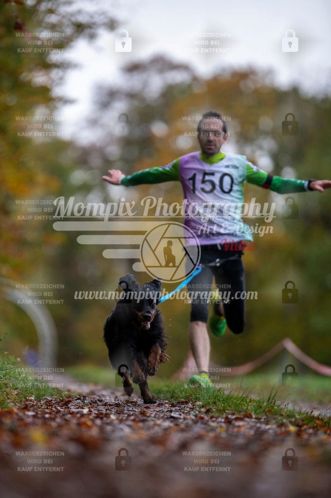 DBT_DAKM_SA_4_11_2023_Canicross-40 | PayLife