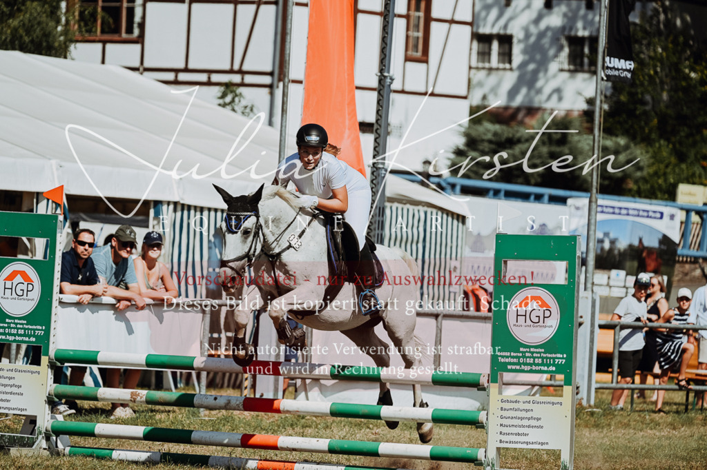 DSC_9611 | Pferde- und Turnierfotografie in Westsachsen. Pferdeportraits, Auftragszeichnungen und intuitive Kunst.
