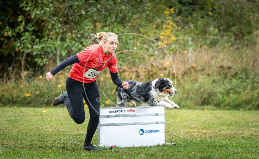 Pfotenfotografie_DV3A1552 | Hundefotografie, Tierfotograf, Pfotenfotografie, Fotoshooting Hund, Hunde Portrait, Hundesport, Hundeportraits, Heideshooting, Hunde, Sportfotograf, Hundefotograf, Turnierhundsport, THS,  - Realisiert mit Pictrs.com