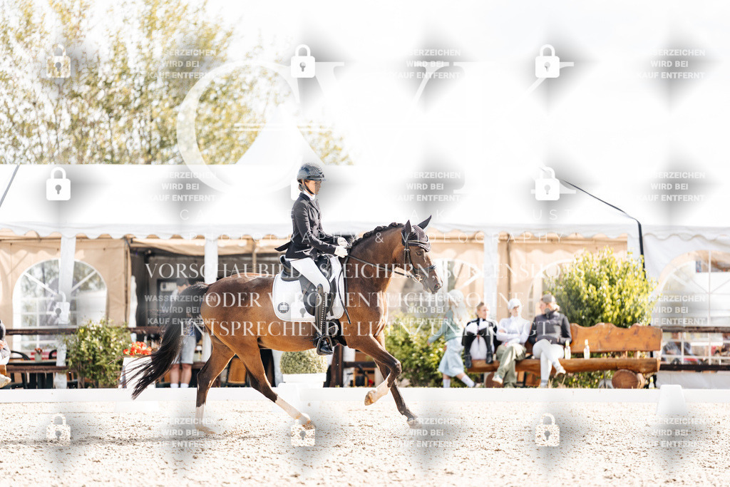 CK901667 | Turnierfotografie Pferdefotografie Trier Rheinland-Pfalz Pferdesport Reitsport Tierfotografie Sportfotografie Pferdevideo Pferdevideografie Equestrianvideography equestrianphotography  - Realisiert mit Pictrs.com