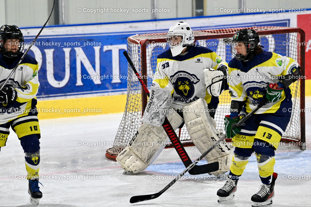 LADY HAWKS vs. WILDCATS PATERNION | #18 Brunner Tatjana WILDCATS PATERNION, #33 Oberauner Marianne Wildcats Paternion, #13 Stromberger Nicole WILDCATS PATERNION, LADY HAWKS vs. WILDCATS PATERNION, LADY HAWKS vs. WILDCATS PATERNION am 12.03.2025 in Steindorf (Ossiachersee Halle), Austria, (Photo by Bernd Stefan)