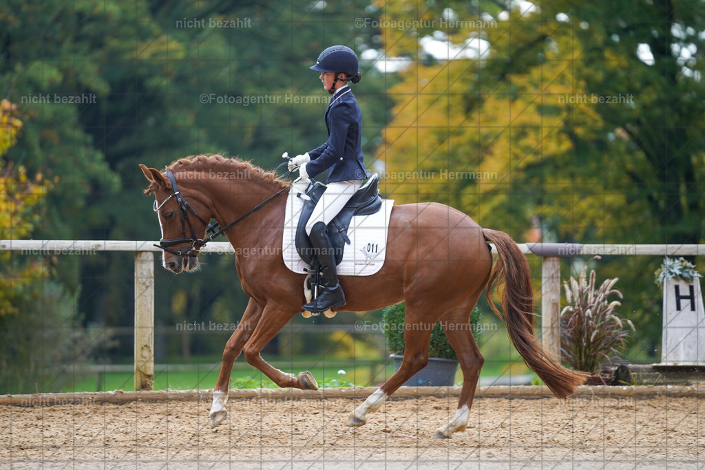 20221008-FAH01075 | Diessen am Ammersee, 2022, Dressur- und Springturnier, Reitsportbilder, Turnierfotografen Bayern, Pferdefotografen, Fotoagentur Herrmann, Turnierbilder
