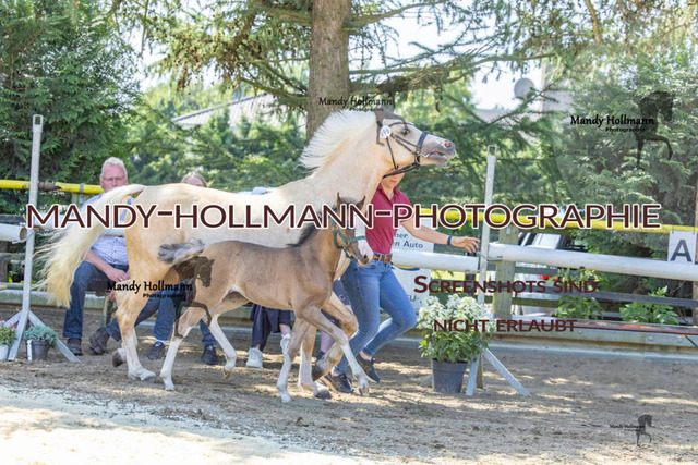 _MG_5012 | mandyhollmannphotographie