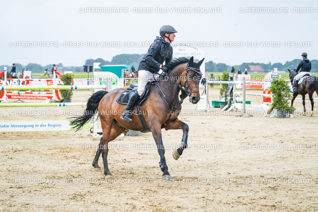 DSC00104 | Pferdegrafie