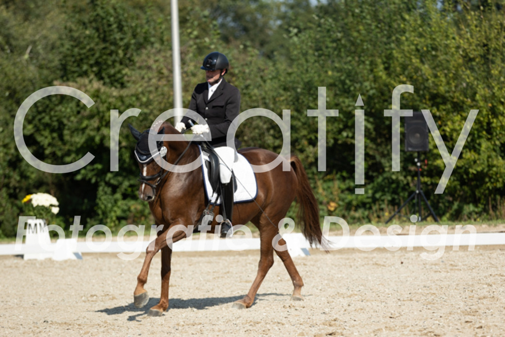 IMG_5817 | Creatify Fotografie