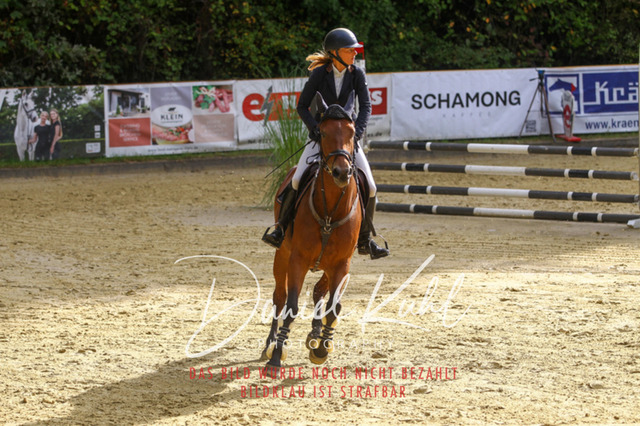 DKP40216 | Turniersportfotografie; Pferdefotografie; Dressurfotografie