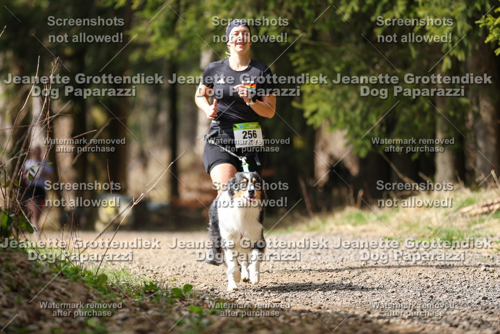 Dog Paparazzi - VCC26-346 | Dog Paparazzi Jeanette Grottendiek Fotografie & Videografie - Realisiert mit Pictrs.com