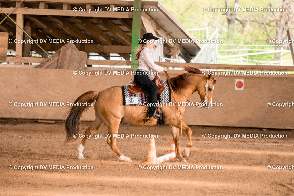 BA300889 | dv-media-shop - Realisiert mit Pictrs.com