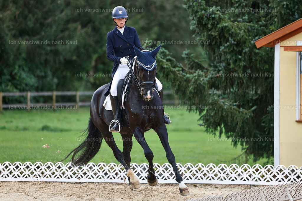 10-190-ST.GEORG SPECIAL -StoibPH-3223 | working equitationturnier fotograf videograf stoibphotography marixx film working equitation deutschland reitsport turnierfotografie eventfotografie equestrian events