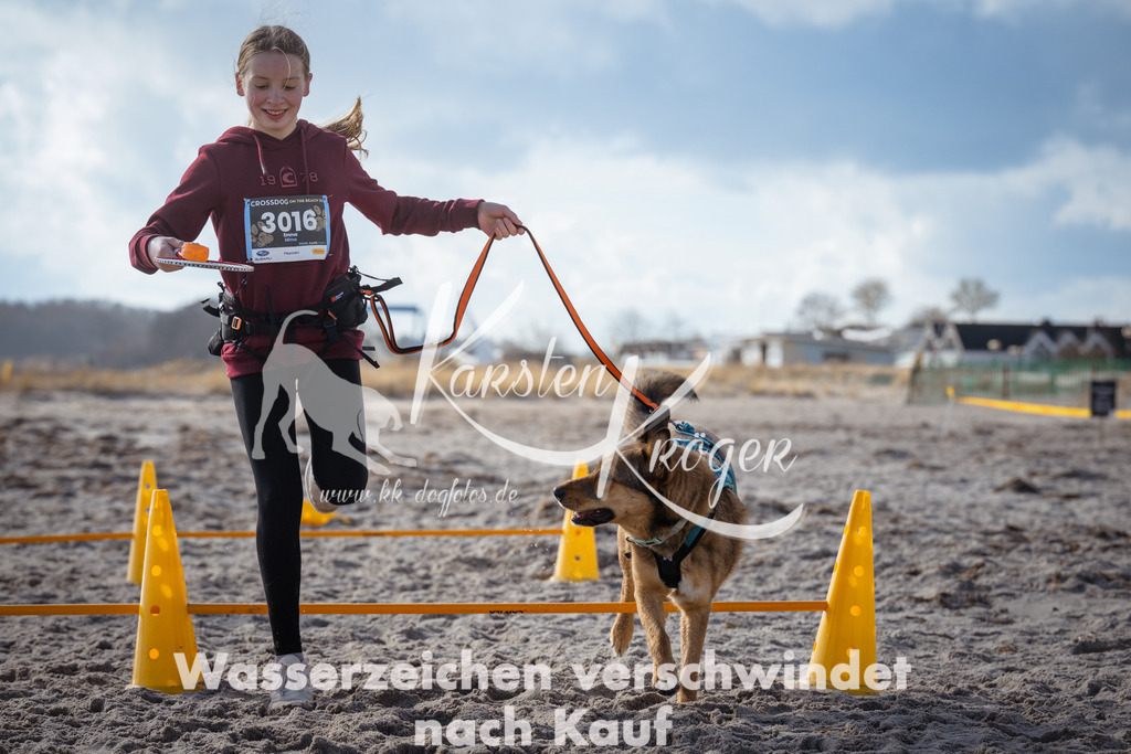 1258_ZZ99760 | kk-dogfotos