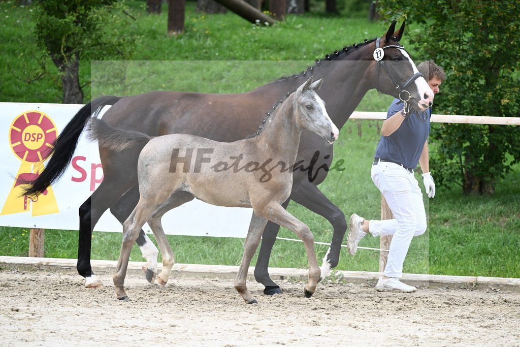 Kat-Nr. 27 SF Arezzo Man_Schwarz GbR_25230704 | hf-fotografie - Realisiert mit Pictrs.com