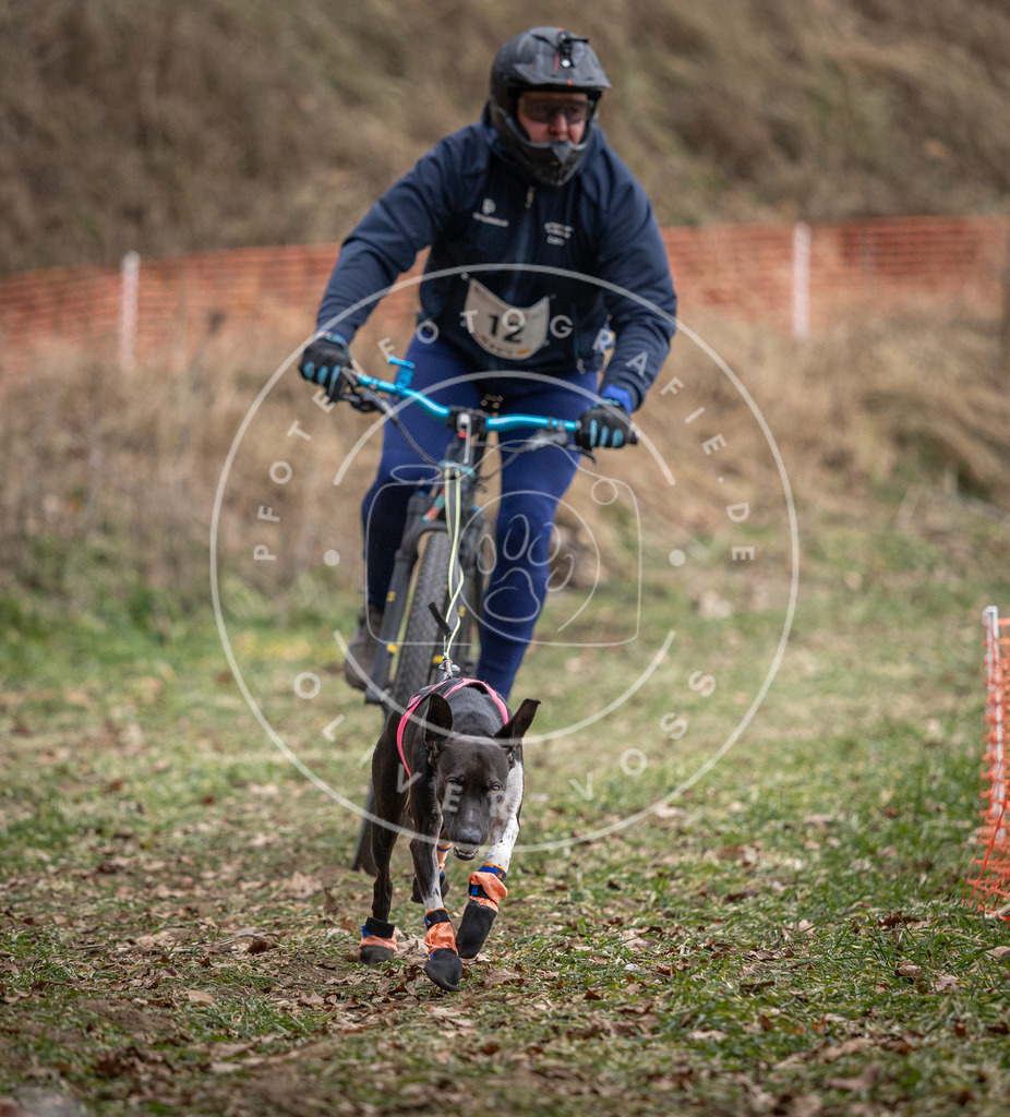 Pfotenfotografie_DV3A6344 | Hundefotografie, Tierfotograf, Pfotenfotografie, Fotoshooting Hund, Hunde Portrait, Hundesport, Hundeportraits, Heideshooting, Hunde, Sportfotograf, Hundefotograf, Turnierhundsport, THS,  - Realisiert mit Pictrs.com