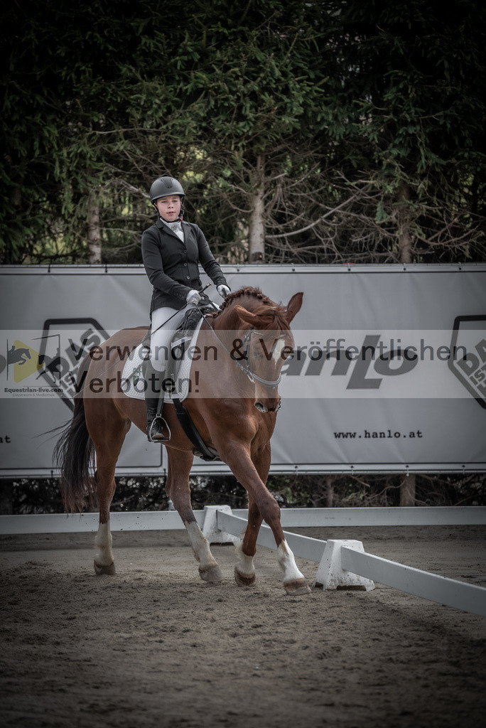 DSC_8929 | equestrian-live-com