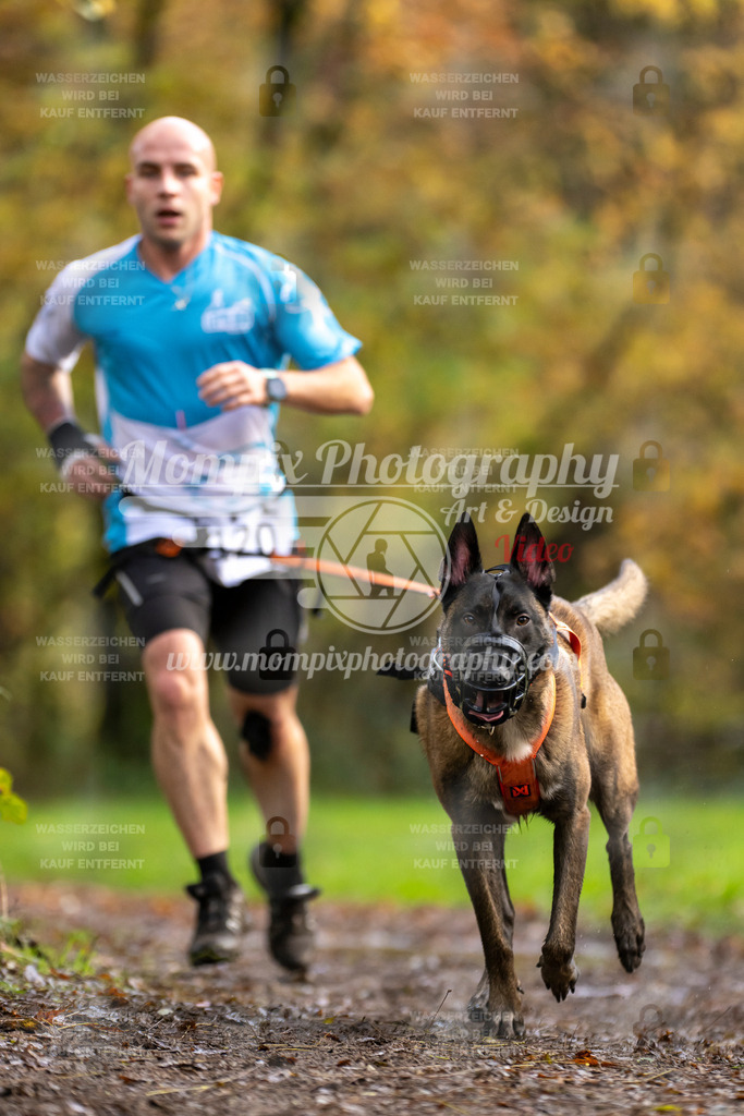 MompixPhotography_Bischwiller23_Canicross-104 | PayLife