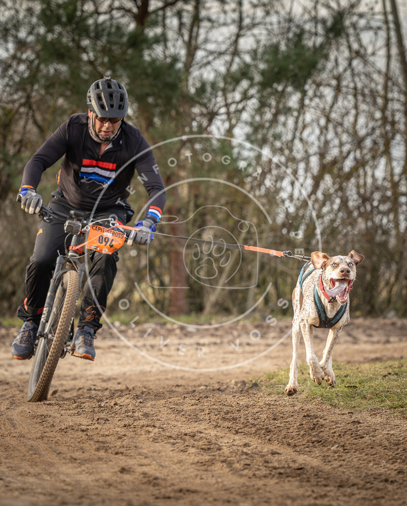 Pfotenfotografie_DV3A8316 | Hundefotografie, Tierfotograf, Pfotenfotografie, Fotoshooting Hund, Hunde Portrait, Hundesport, Hundeportraits, Heideshooting, Hunde, Sportfotograf, Hundefotograf, Turnierhundsport, THS,  - Realisiert mit Pictrs.com