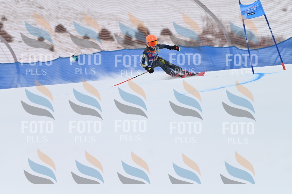 BGV_0730 | holidayphoto