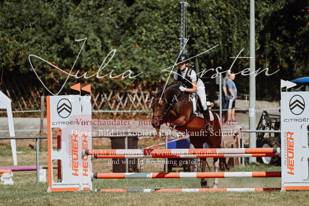 DSC_9900 | Pferde- und Turnierfotografie in Westsachsen. Pferdeportraits, Auftragszeichnungen und intuitive Kunst.