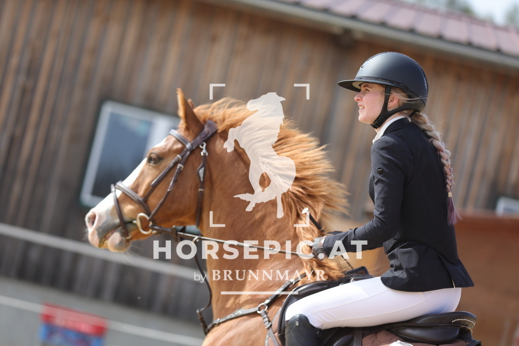 0P6A9581 | Willkommen bei Brunnmayr - Design & Fotografie – Ihrem Spezialisten für Reitturniere und Pferdeveranstaltungen in Oberösterreich, Salzburg und Bayern! Seit über 17 Jahren sind wir leidenschaftlich dabei.
