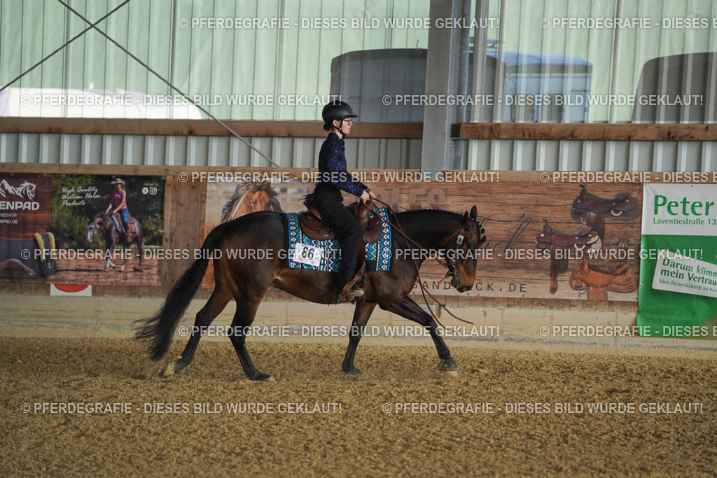 DSC08156 | Pferdegrafie