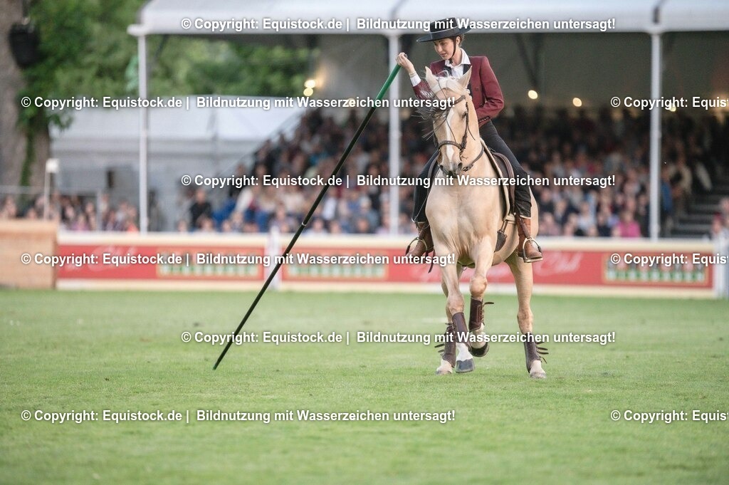 20230526_Pferdenacht_0706 | equistock