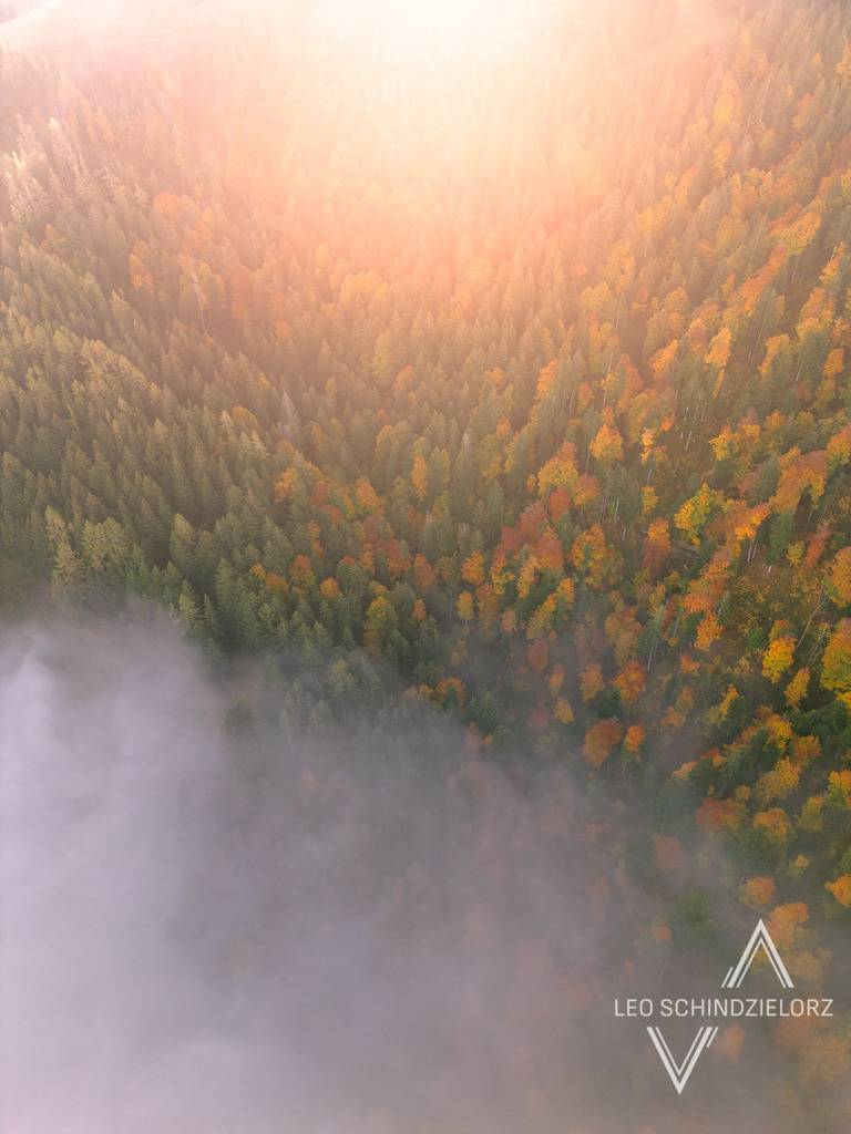 Fotografie_Leo_Schindzielorz_DE_Herbst_Allgaeu_Imberg_20221007_DJI_0714_org | Atmosphärische Landschaftsbilder & Drohnenaufnahmen aus dem Allgäu, Tirol, Südtirol & der Schweiz – ideal für Leinwanddrucke & zur stilvollen Raumgestaltung. - Realisiert mit Pictrs.com