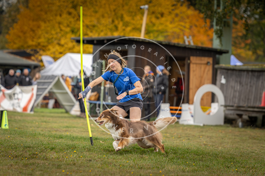 Pfotenfotografie_DV3A2993 | Hundefotografie, Tierfotograf, Pfotenfotografie, Fotoshooting Hund, Hunde Portrait, Hundesport, Hundeportraits, Heideshooting, Hunde, Sportfotograf, Hundefotograf, Turnierhundsport, THS,  - Realisiert mit Pictrs.com