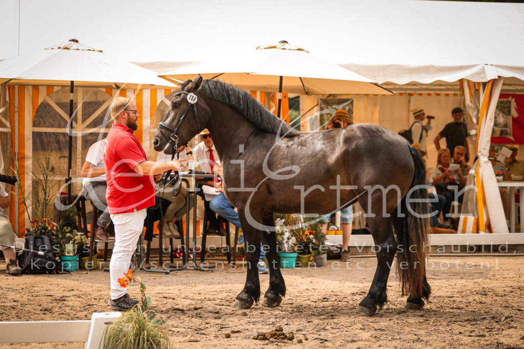 4.Sa00044 | Leoni Ertmer Photography - Realisiert mit Pictrs.com