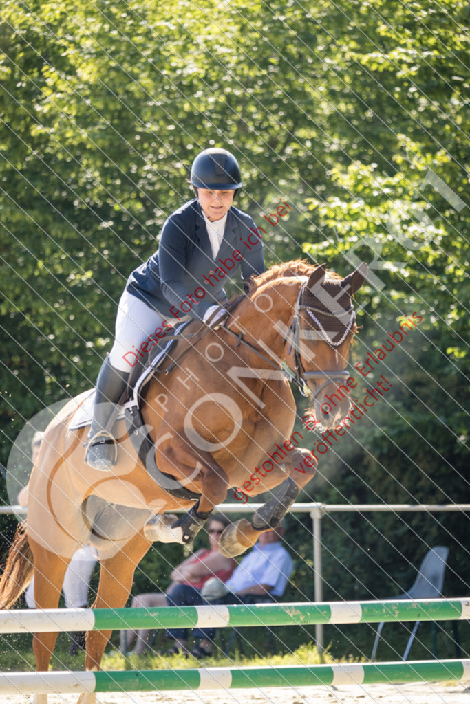 IMG_2578 | Sport-, Event- und Tierfotos in Profiqualität. Einfach auswählen, bestellen und herunterladen. Dein Moment – perfekt festgehalten.