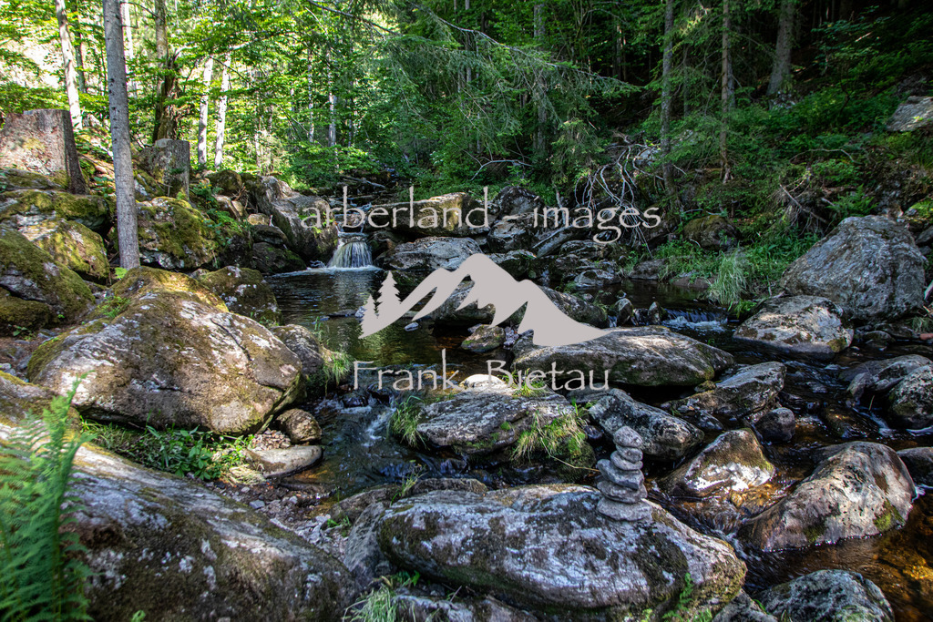OE7A5270 | wildes Wasser und wilder Wald, mitten im Bayerischen Wald. Die Felsenschlucht wird oft auch als Naturjuwel bezeichnet und ist das Ziel vieler Wanderer.