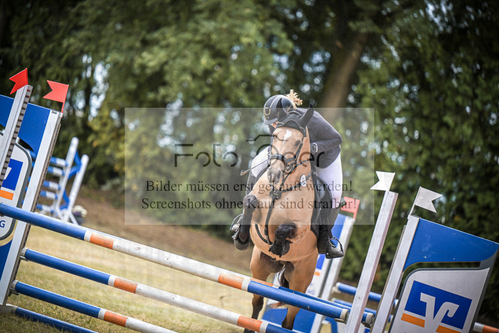 DOS_0458 | Entdecke hochwertige Reitturnierfotos von Foto Oger. Professionell, emotional und authentisch – jetzt Lieblingsmomente im Shop bestellen.Deutschlandweite Turnierfotografie. - Realisiert mit Pictrs.com