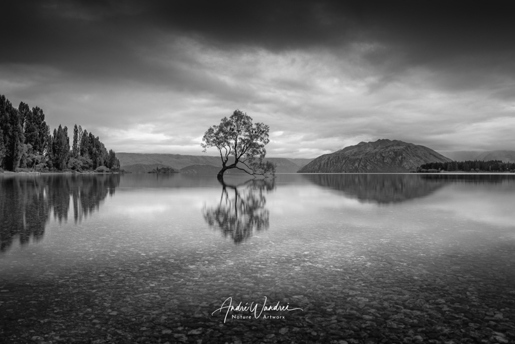 Wanaka-Tree (Schwarz-Weiss Version) | Andre Wandrei - Nature Artworx - Realisiert mit Pictrs.com