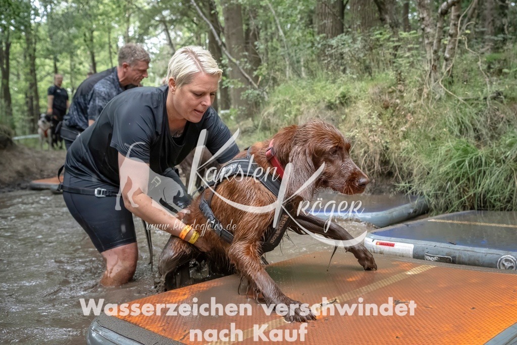 1209_ZZ97377T | kk-dogfotos