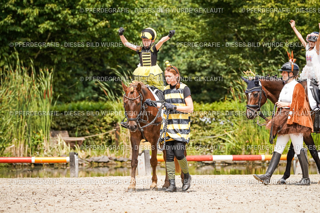 DSC03092 | Pferdegrafie