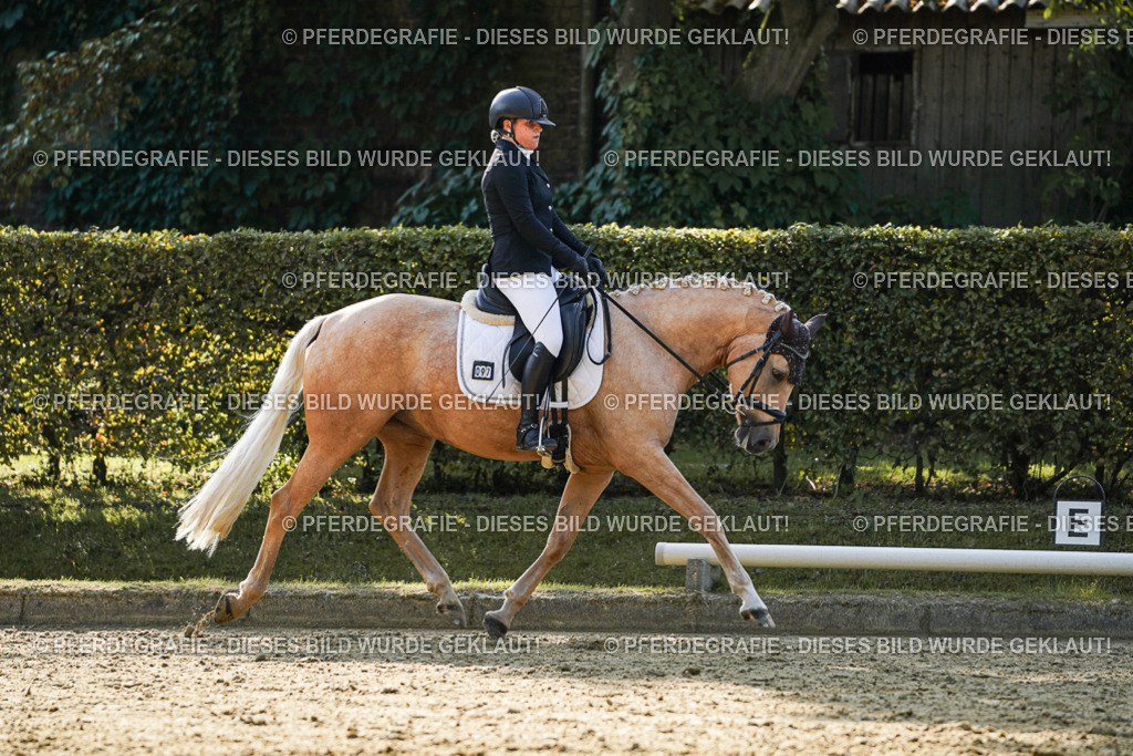 DSC05919 | Pferdegrafie