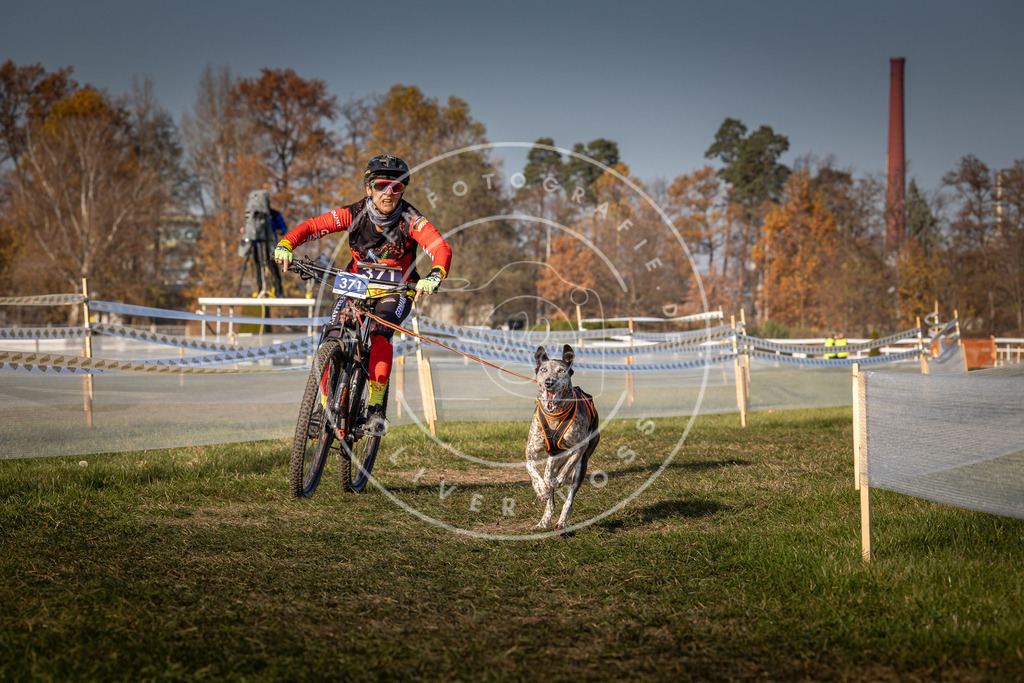 CaniXpix_0L8A7872 | Hundefotografie, Tierfotograf, Pfotenfotografie, Fotoshooting Hund, Hunde Portrait, Hundesport, Hundeportraits, Heideshooting, Hunde, Sportfotograf, Hundefotograf, Turnierhundsport, THS,  - Realisiert mit Pictrs.com