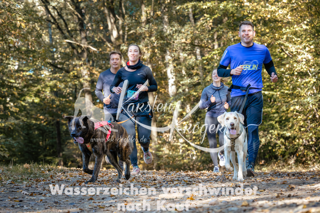 1129_ZZ92538 | kk-dogfotos