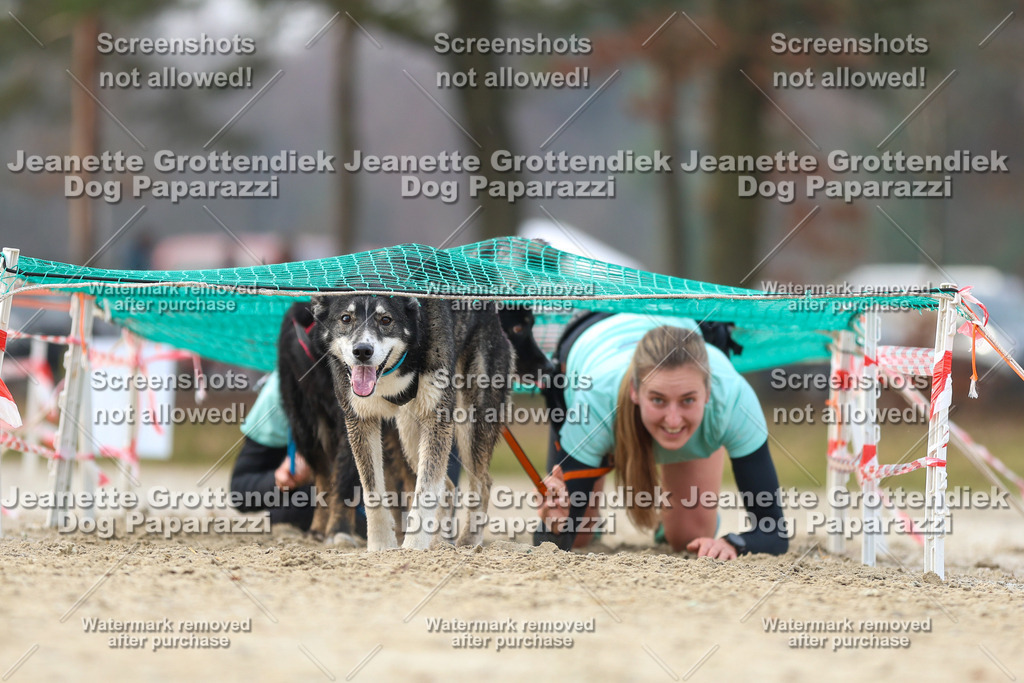 Dog Paparazzi - Strongdog North Mrz26-4361 | Dog Paparazzi Jeanette Grottendiek Fotografie & Videografie - Realisiert mit Pictrs.com