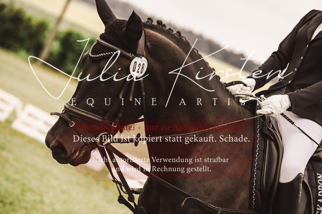 DSC_5123 | Pferde- und Turnierfotografie in Westsachsen. Pferdeportraits, Auftragszeichnungen und intuitive Kunst.