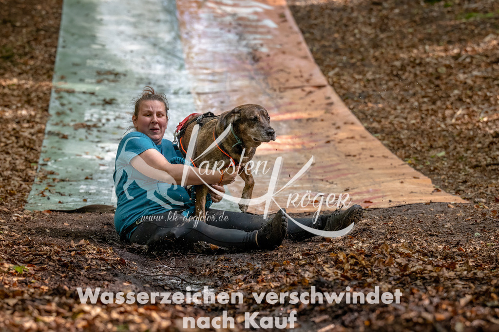 1241_ZZ90906-Bearbeitet | kk-dogfotos