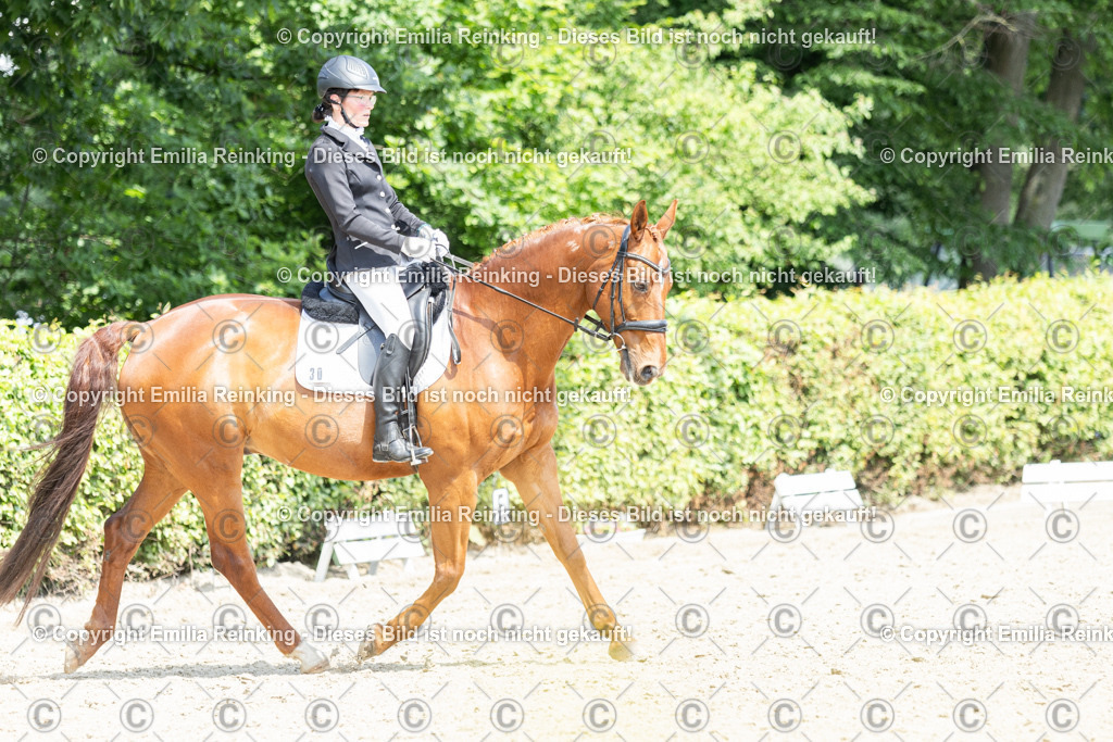 CL5A0138 | Emilia Reinking Fotografie - Realisiert mit Pictrs.com