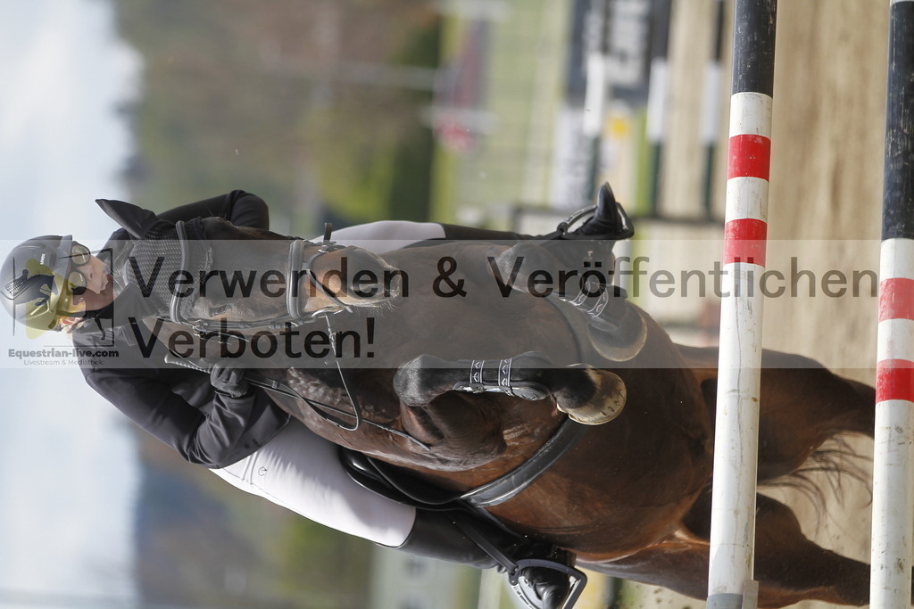 _MG_7983 | equestrian-live-com