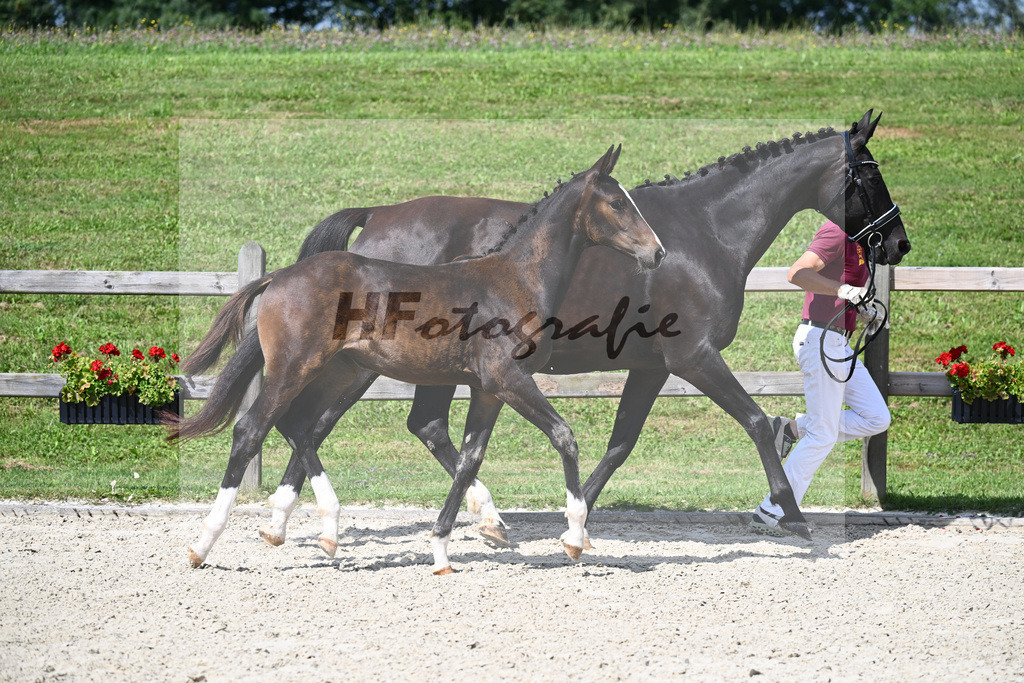 Negro x Sandro Hit_SF_Lechl_29240176 | hf-fotografie - Realisiert mit Pictrs.com