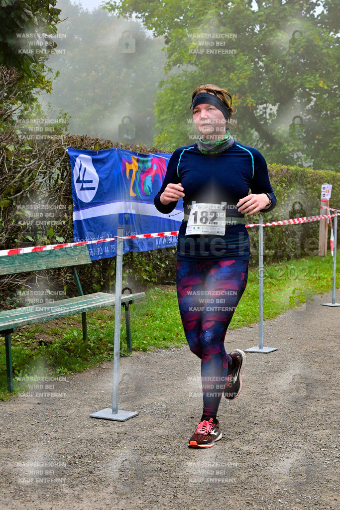 Z8N_2308 | la-psv - Realisiert mit Pictrs.com