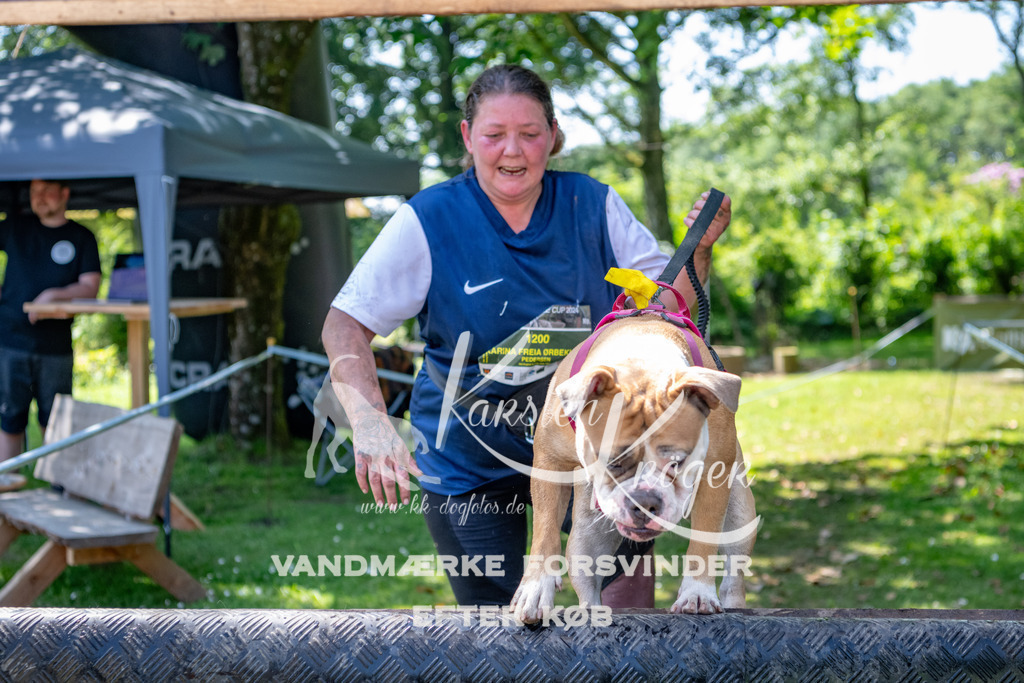 1300_ZZ90427 | kk-dogfotos