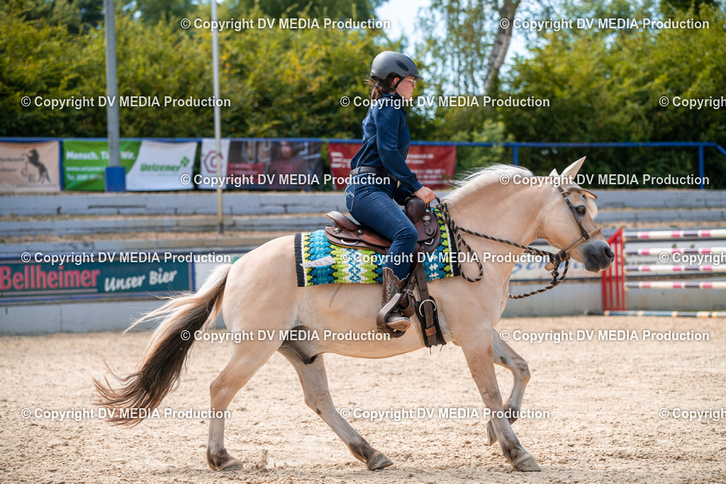 EWP_6764 | dv-media-shop - Realisiert mit Pictrs.com