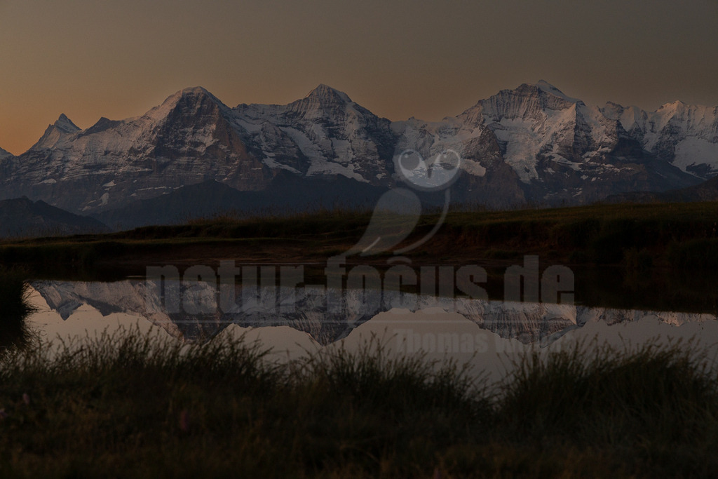 R6NF3678_20250710 | Das Bild zeigt eine majestätische Berglandschaft bei Dämmerung oder Sonnenaufgang. Im Hintergrund erheben sich imposante, schneebedeckte Gipfel, die als Eiger, Mönch und Jungfrau identifiziert werden können. Ihre Konturen zeichnen sich scharf gegen den helleren Himmel ab, der von einem warmen Orange-Braun-Ton geprägt ist. Im Vordergrund befindet sich ein ruhiger See oder Teich, dessen Oberfläche die Bergkette perfekt spiegelt. Die Spiegelung ist so klar, dass die schneebedeckten Gipfel und die dunkleren Felsformationen detailgetreu im Wasser erscheinen. Der unmittelbare Vordergrund besteht aus dunklem Gras und Uferbewuchs, der nur schemenhaft erkennbar ist und dem Bild Tiefe verleiht. Die Hauptinteraktion ist die faszinierende Spiegelung der Berge im stillen Wasser, die eine harmonische und symmetrische Komposition schafft. - Realisiert mit Pictrs.com